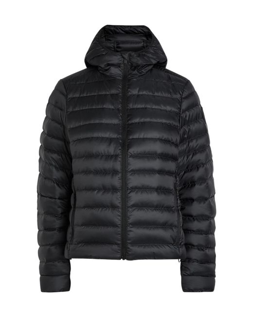 Canada Goose Black Light Down Coat