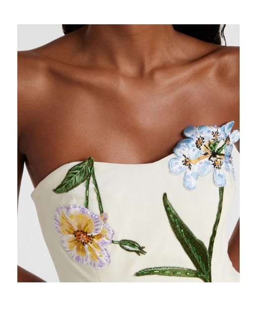 Leo White Rosario Embroidered Velvet Minidress