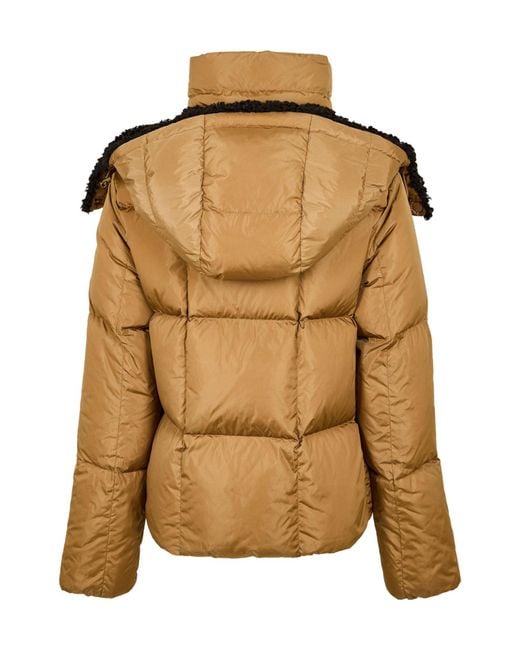 Moncler Brown Simple Down Jacket