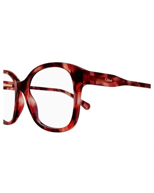 Chloé Multicolor Tortoiseshell-Effect Oversized Glasses