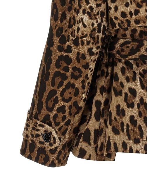 Dolce & Gabbana Brown Leopard Printed Trench Coat