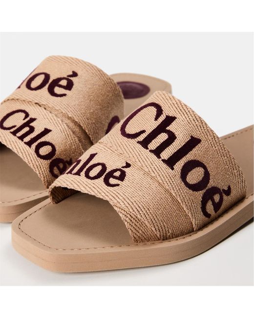 Chloé Brown Logo Slippers