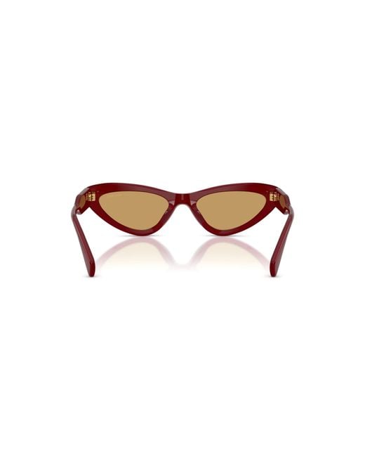 Miu Miu White Full-Rim Sunglasses