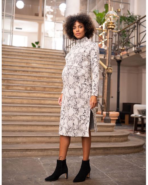 Seraphine Cotton Jacquard Maternity & Nursing Dress in Brown Lyst