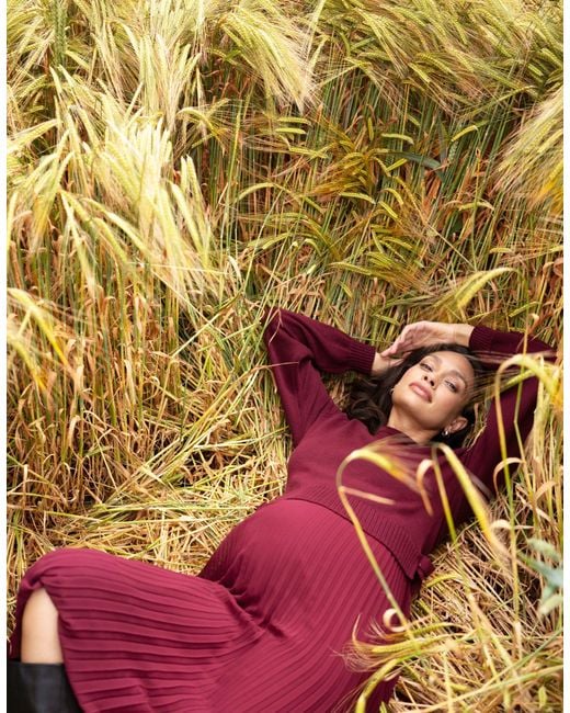 Seraphine Knit Maternity Nursing Jumper Dress Lyst