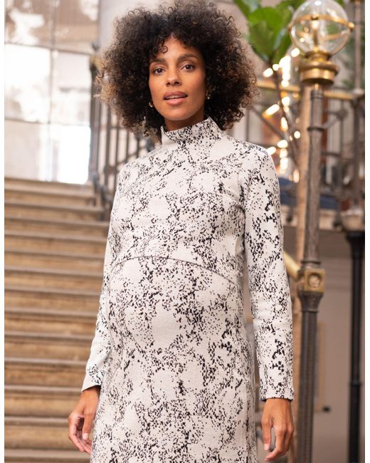 Seraphine Cotton Jacquard Maternity & Nursing Dress in Brown Lyst