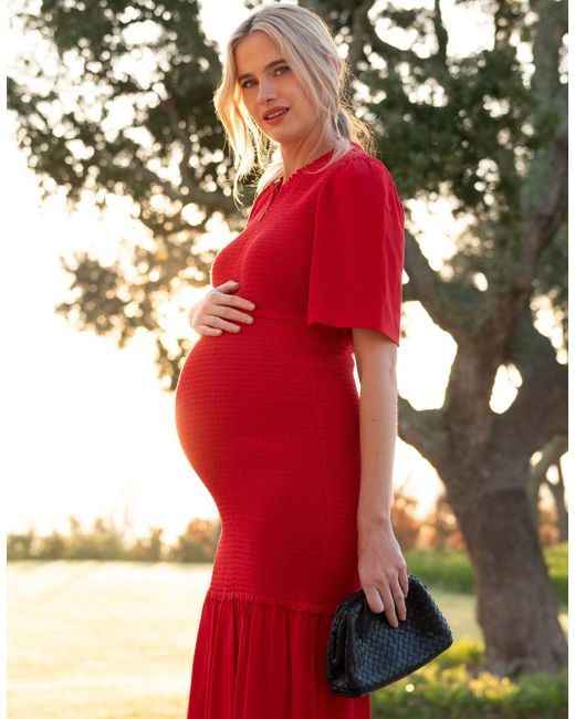 Seraphine Shirred Maternity-to-nursing Maxi Dress