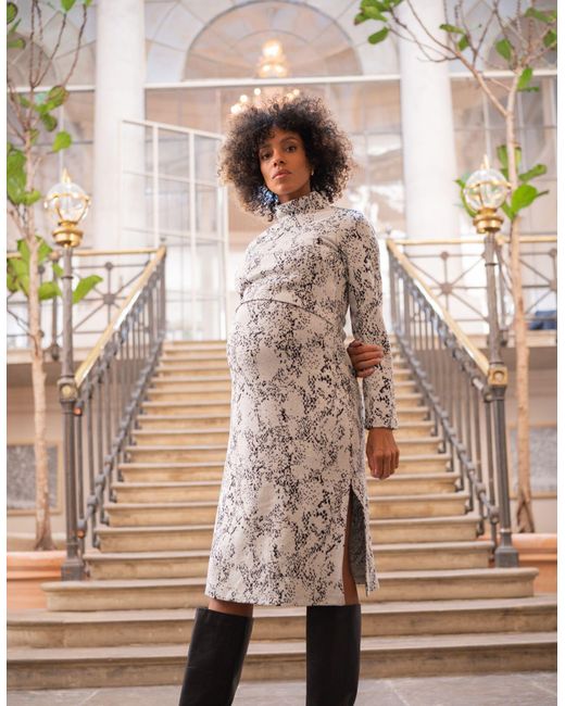 Seraphine Cotton Jacquard Maternity & Nursing Dress in Brown Lyst