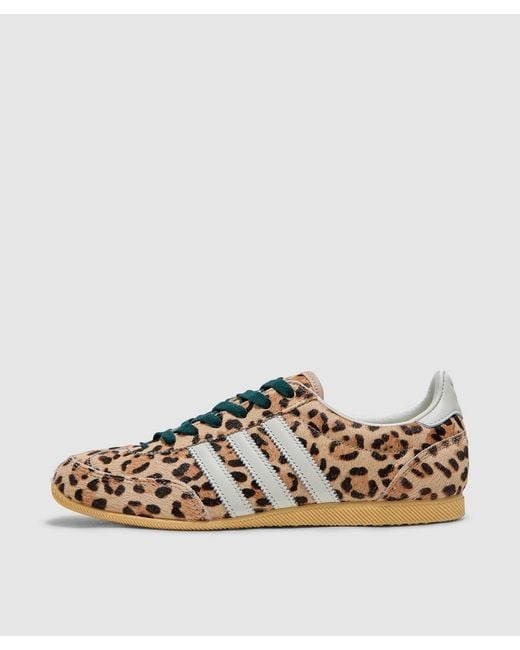 Adidas Metallic Japan Sneaker (Magic/Ivory/Aurora Ivy for men