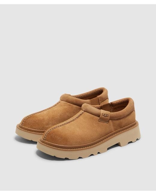 Ugg Brown Tasman Lug Clog for men