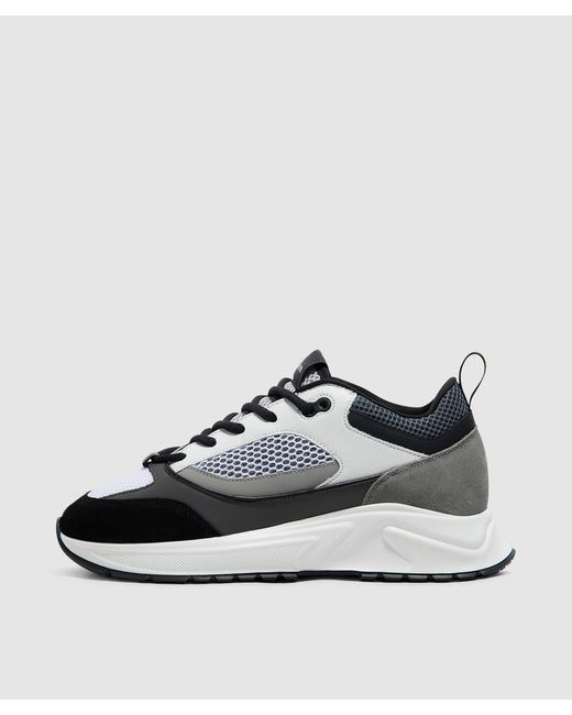 Cleens Multicolor Essential Runner Sneaker for men