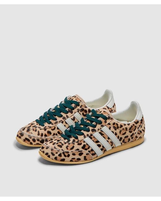 Adidas Metallic Japan Sneaker (Magic/Ivory/Aurora Ivy for men