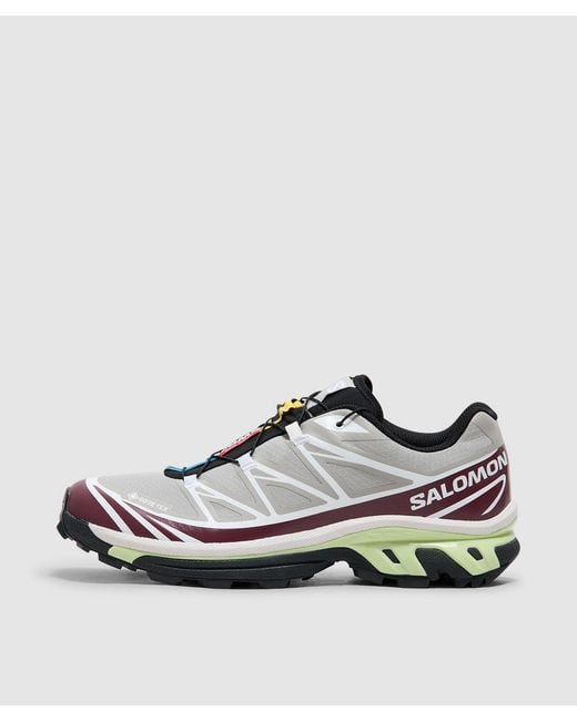 Salomon Lab Gray Xt-6 Gore-Tex Sneaker (Paloma/ Banner/Butterfly for men