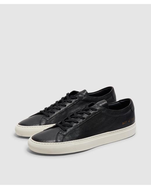 Common Projects Summer Achilles Low Sneakers | Lyst