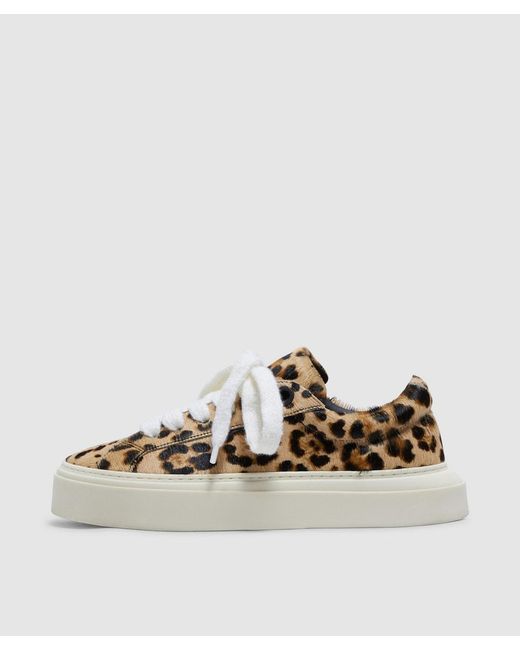 Cole Buxton Natural Leopard Wilson Sneaker (Leopard