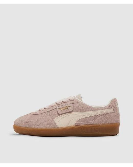 PUMA Brown Palermo Hairy Sneaker for men