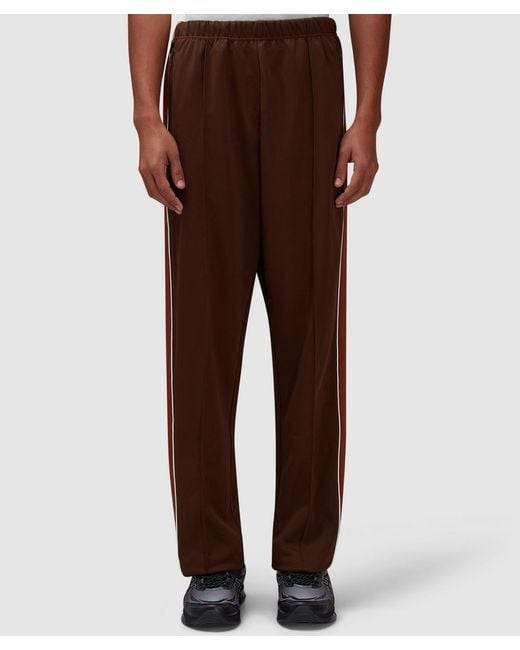 PATTA Brown Straight Track Pant (Chestnut for men