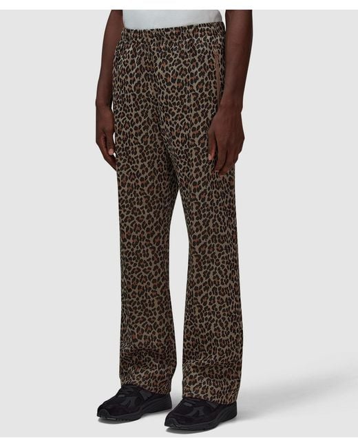 Needles Brown Narrow Track Pant for men