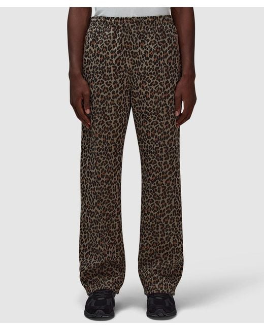 Needles Brown Narrow Track Pant for men