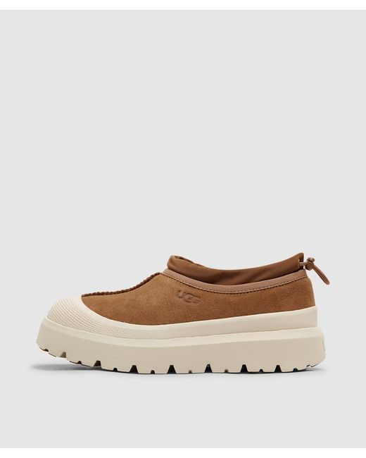 Ugg Multicolor Tasman Weather Hybrid Slipper for men
