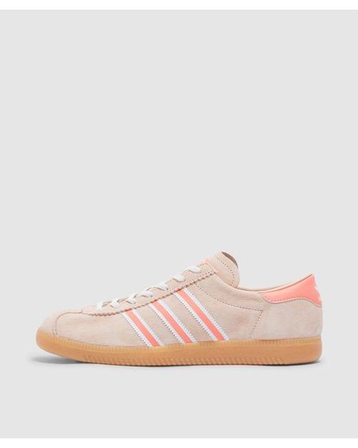 adidas Massachusetts Sneaker in Pink for Men | Lyst