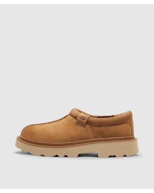 Ugg Brown Tasman Lug Clog for men