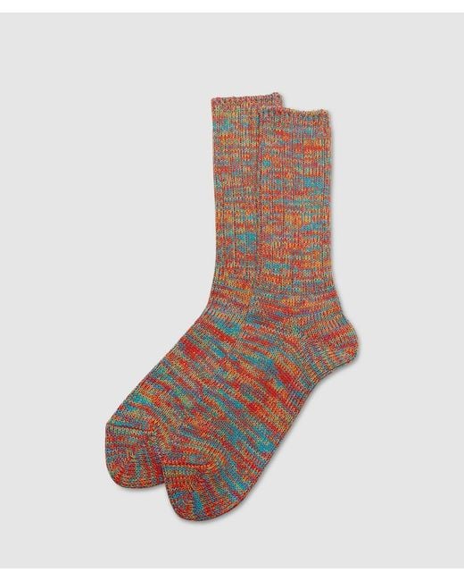 Anonymous Ism Brown 5 Colour Mix Crew Sock