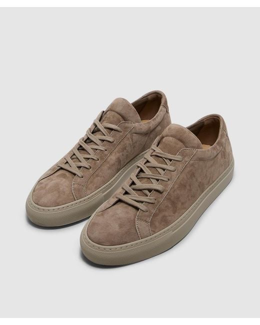 Common Projects Brown Achilles Premium Suede Sneaker (Taupe