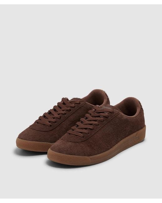 PUMA Star Sd Sneaker Chestnut Gum in Brown Lyst UK