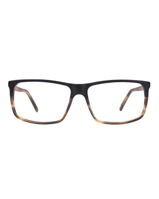 Andy Wolf Black Brown Acetate Glasses (frames) for men