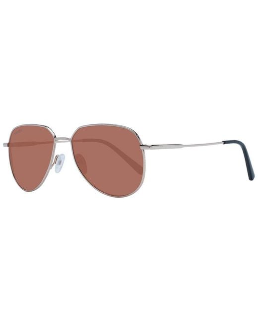 Serengeti Brown Rose Gold Metal Sunglasses
