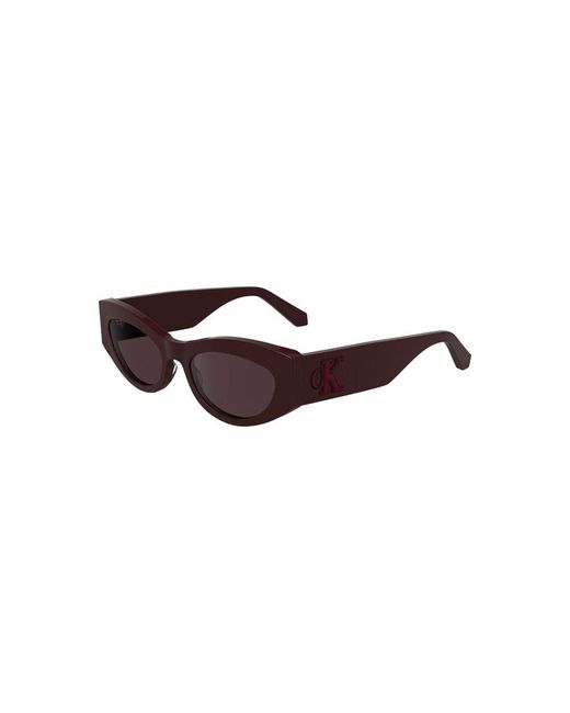 Calvin Klein Brown Rosso Acetate Sunglass