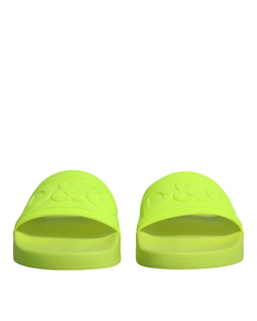 Dolce & Gabbana Green Sliders