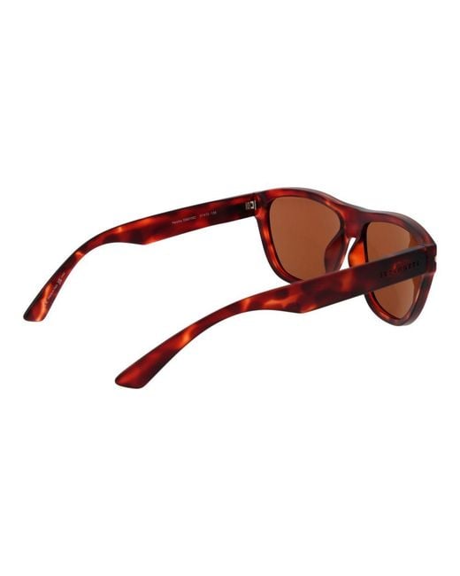 Serengeti Brown Sunglasses