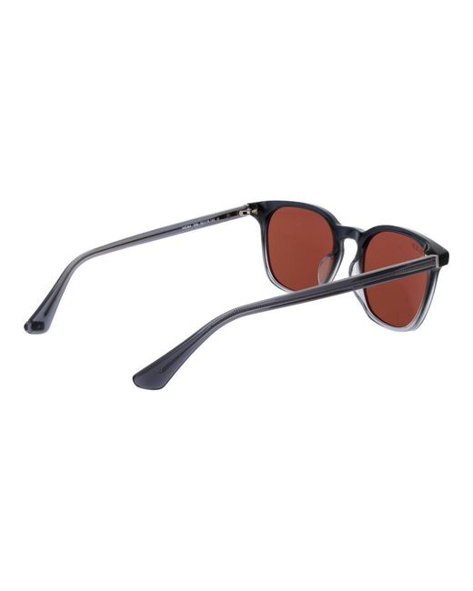 Web Brown Gray Acetate Sunglasses for men