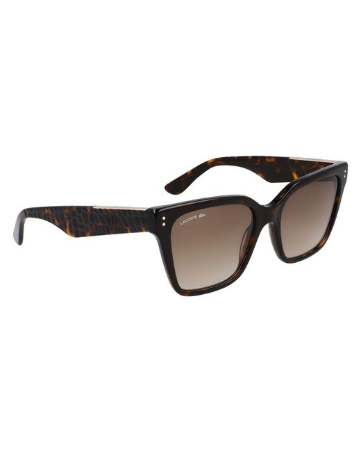 Lacoste Black Acetate Sunglasses