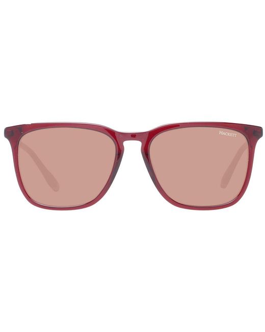 Hackett Brown Redsunglasses for men