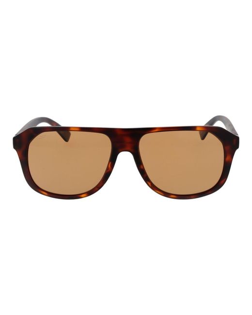 Serengeti Brown Men Sunglasses for men