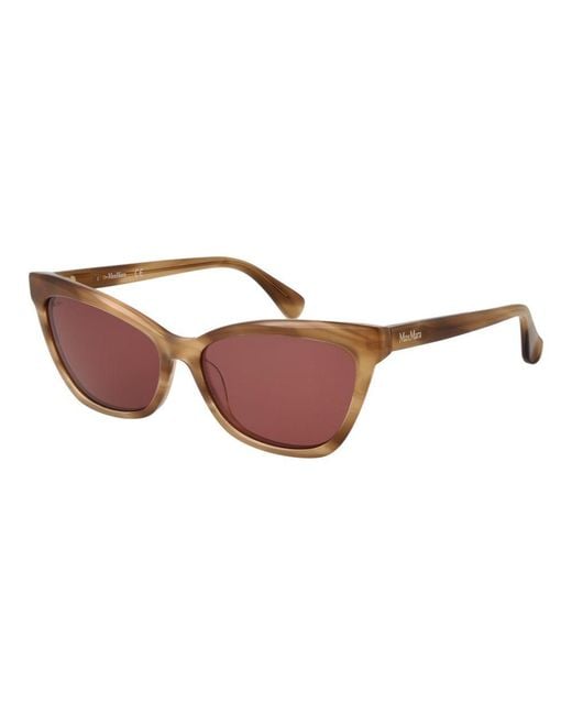 Max Mara Brown Acetate Sunglasses