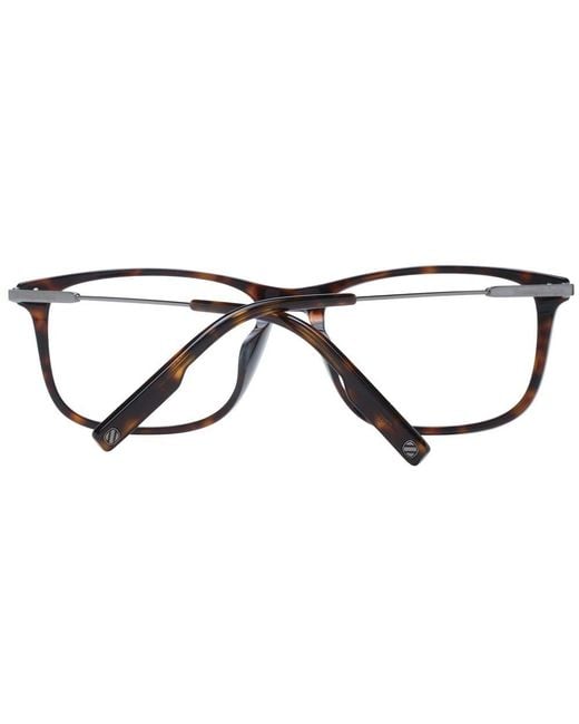 Zegna Black Brown Plastic Glasses (frames) for men