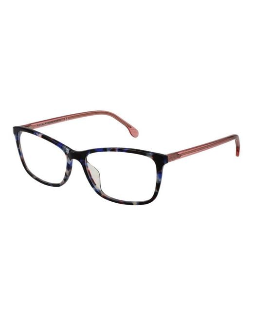 Lozza Brown Cellulose Acetate Glasses (Frames)