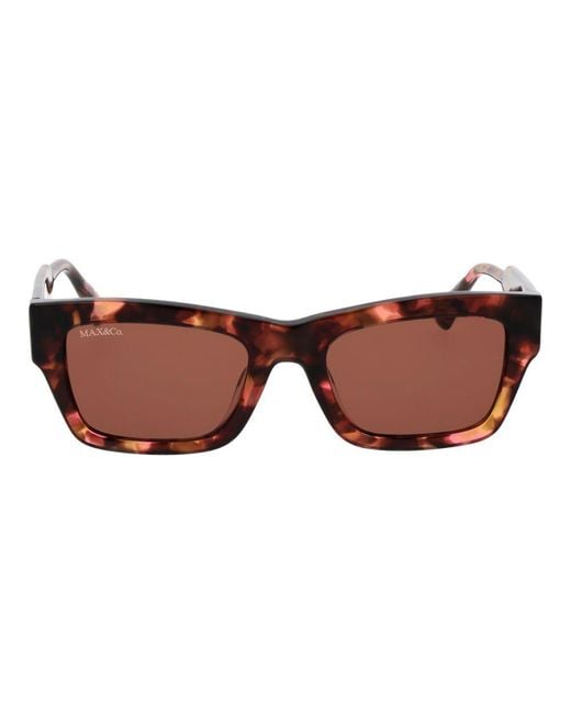 MAX&Co. Brown Acetate Sunglasses