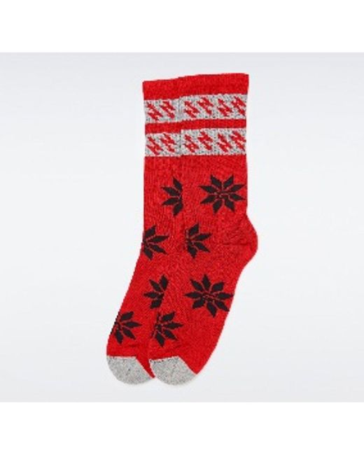 Gas Red Cotton Socks for men