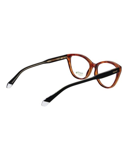 Polaroid Brown Cellulose Propionate Glasses (frames)