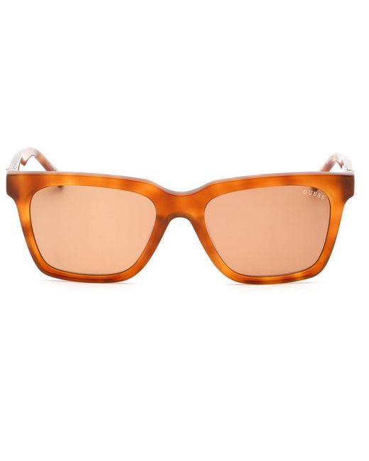 Guess Brown Resin Sunglasses