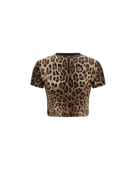Dolce & Gabbana Brown Beige Cotton T