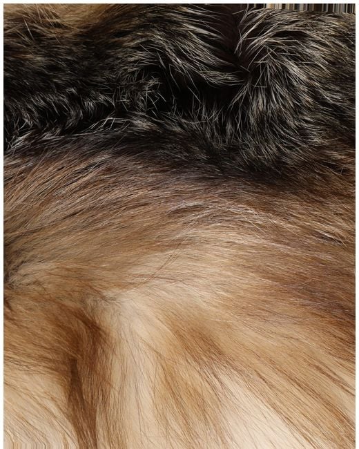 Dolce & Gabbana Natural Frost Fox Fur Neck Warmer Winter Scarf