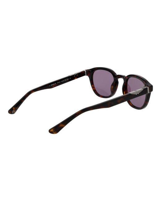 Police Brown Cellulose Acetate Sunglasses for men