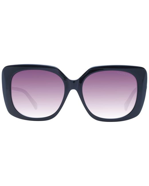 Ted Baker Purple Black Acetate Sunglasses