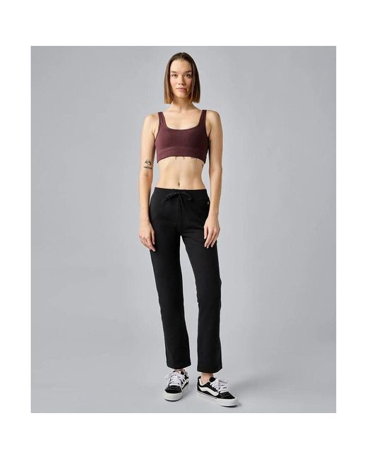 Champion Multicolor Brown Cotton Bra